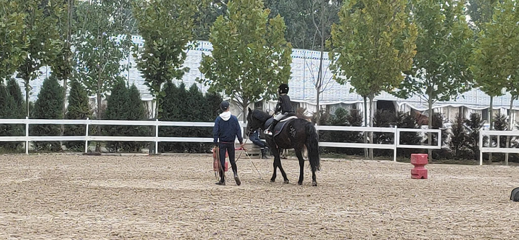 1635836753439903.jpg Farmily.Farm馬(mǎ)術(shù)莊園.jpg